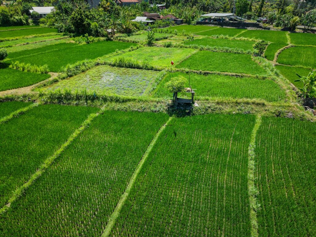 Mobil sewaan di Bali siap melayani perjalanan 12 jam, nyaman dan terjangkau