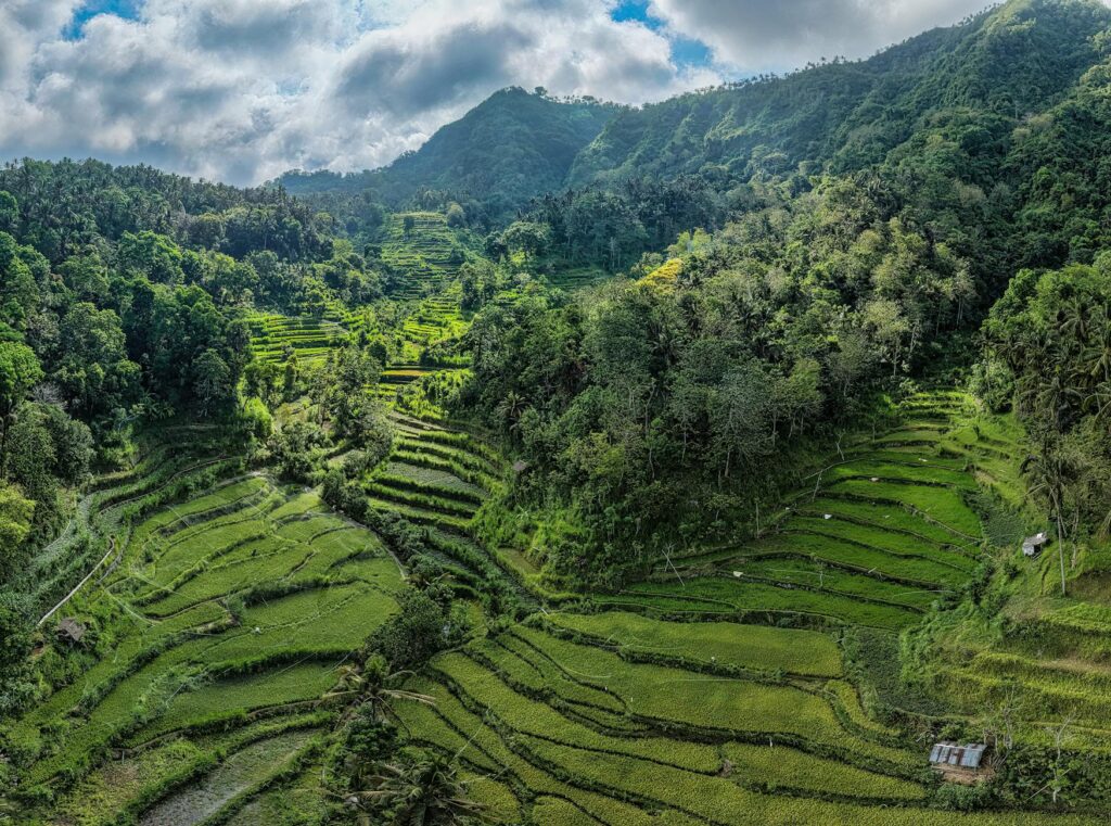Rental mobil di Bali, layanan terpercaya dengan pilihan kendaraan lengkap untuk wisata dan bisnis