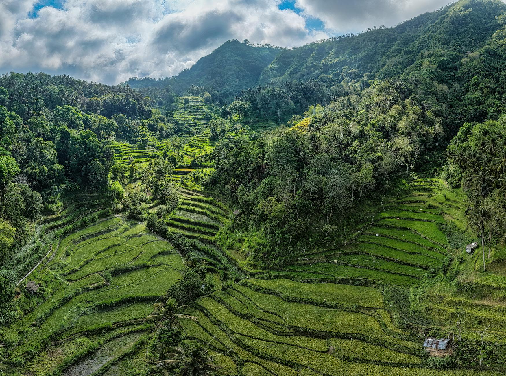 Rental mobil di Bali, layanan terpercaya dengan pilihan kendaraan lengkap untuk wisata dan bisnis