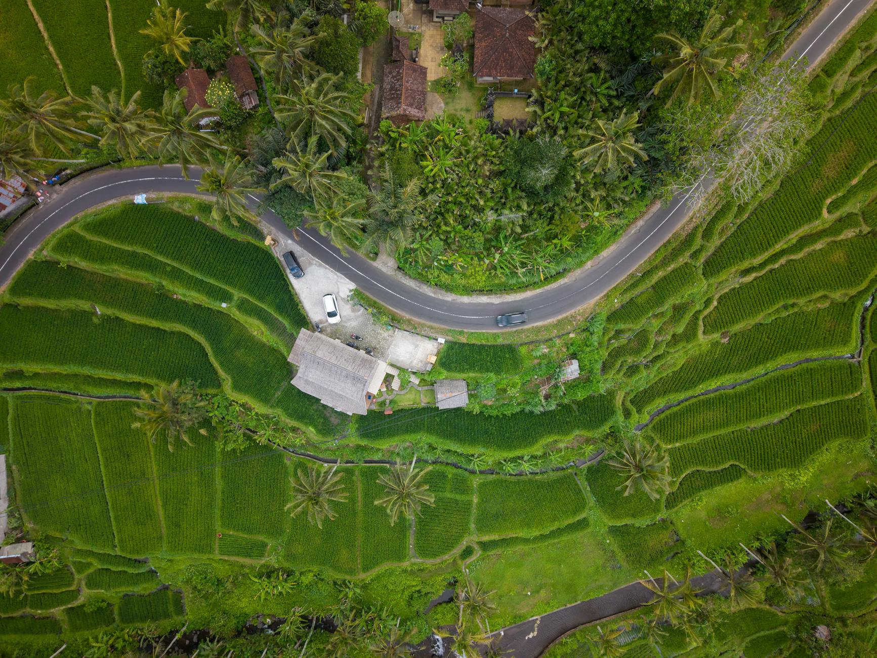 Mobil sewaan Double R di Bali siap melayani wisatawan dengan layanan nyaman dan terpercaya.
